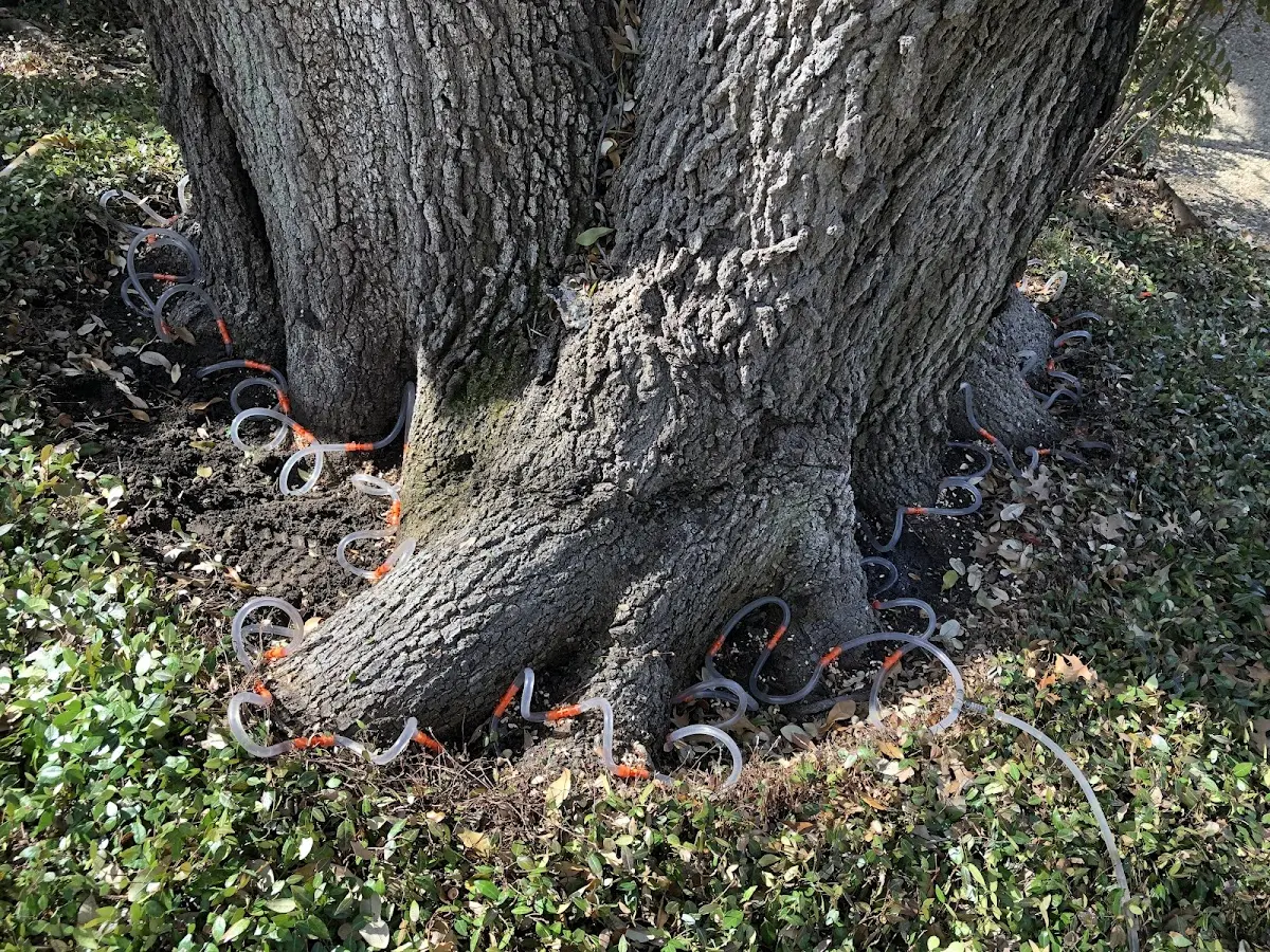 Detailed Shrub and Hedge Trimming job site in Linton